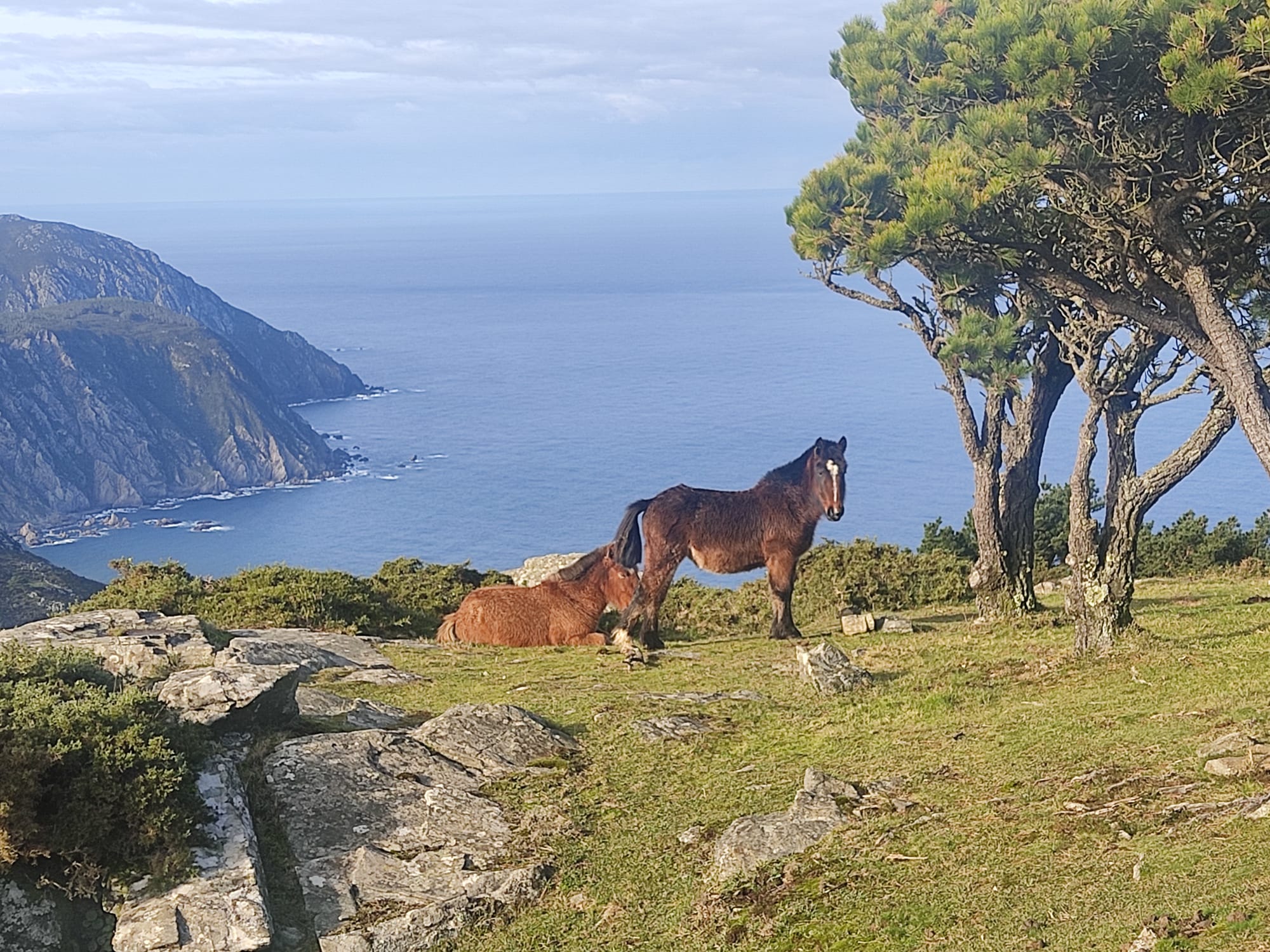 Altos de Santo André entre flora, fauna y geología | Jueves 2 abril - 16:00h