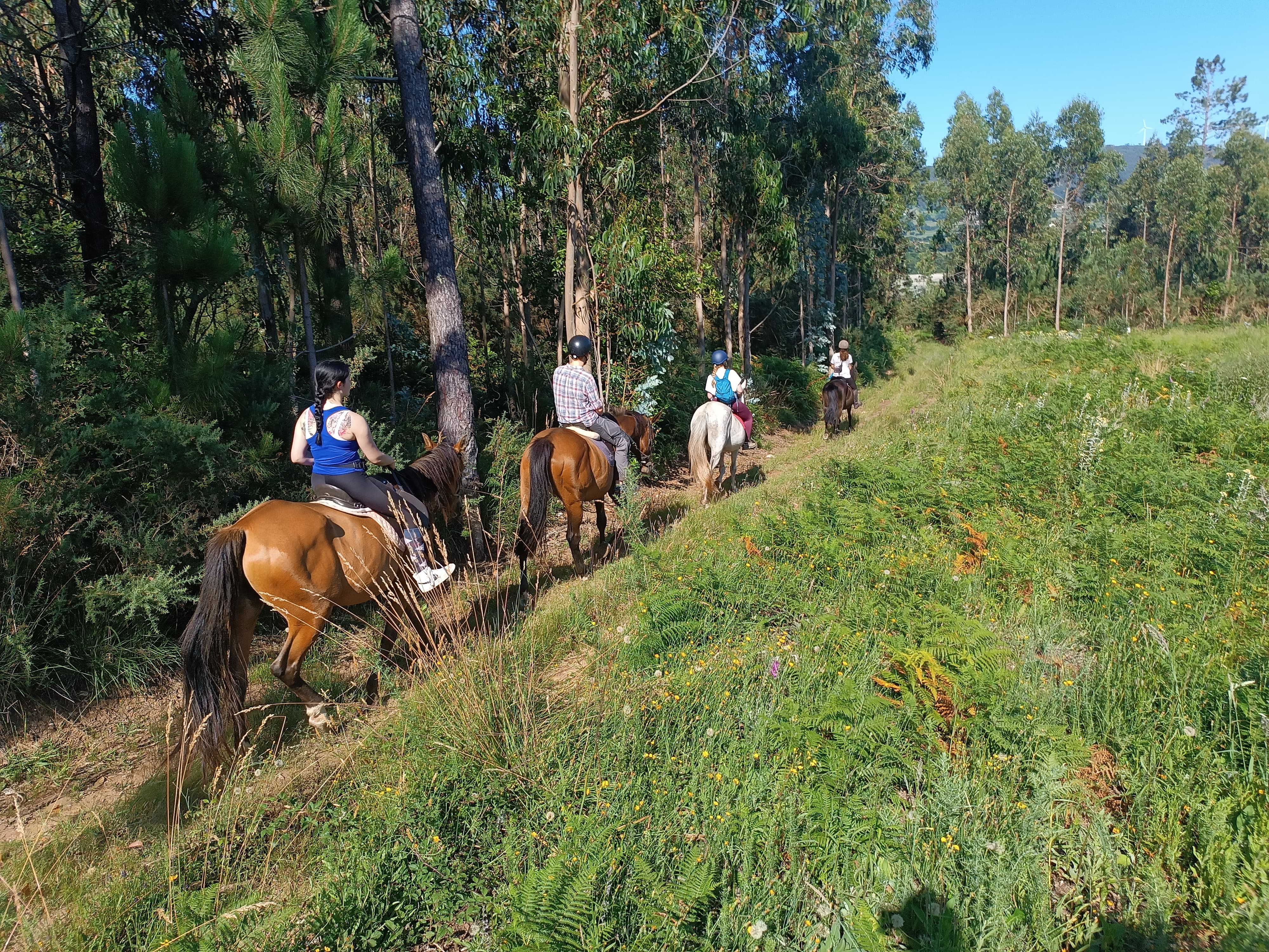Ruta ecuestre de Meirás | Sábado 4 abril - 16:00h
