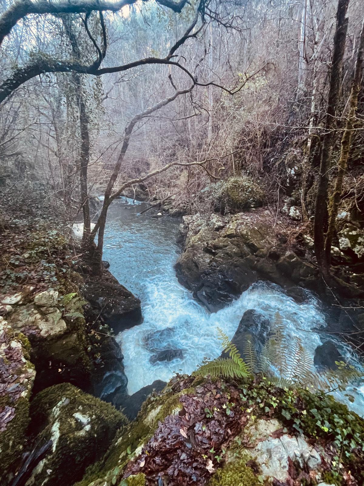 Sendero de Ferrerías en Valdoviño | Miércoles 1 abril - 10:00h