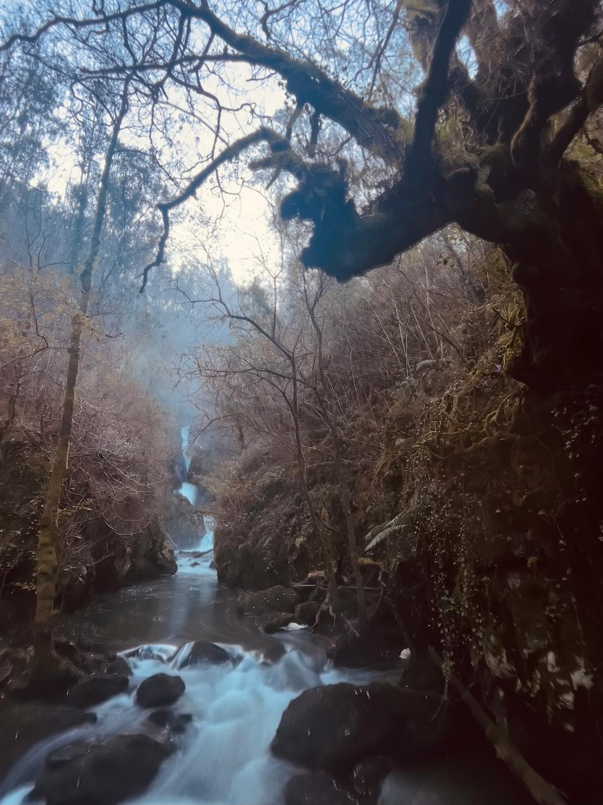 Sendero de Ferrerías en Valdoviño | Miércoles 1 abril - 10:00h