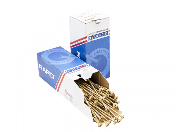 Medsraigtis "Schmid Schrauben Rapid" įl. galva, (Torx) 