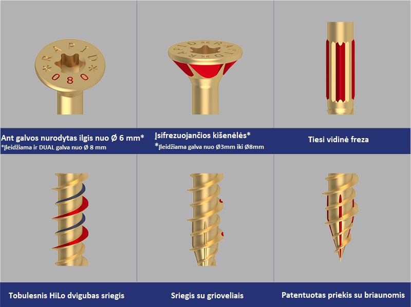 Medsraigtis "Schmid Schrauben Rapid" įl. galva, (Torx) 