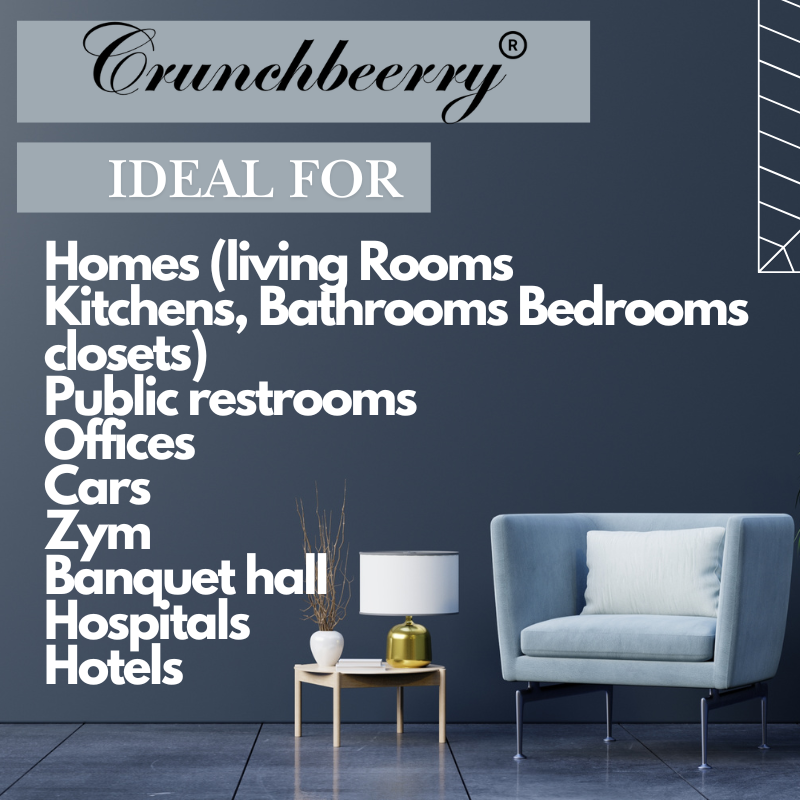 White Oud Air Freshener