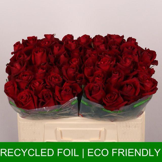 Rosa Premium-Rosen