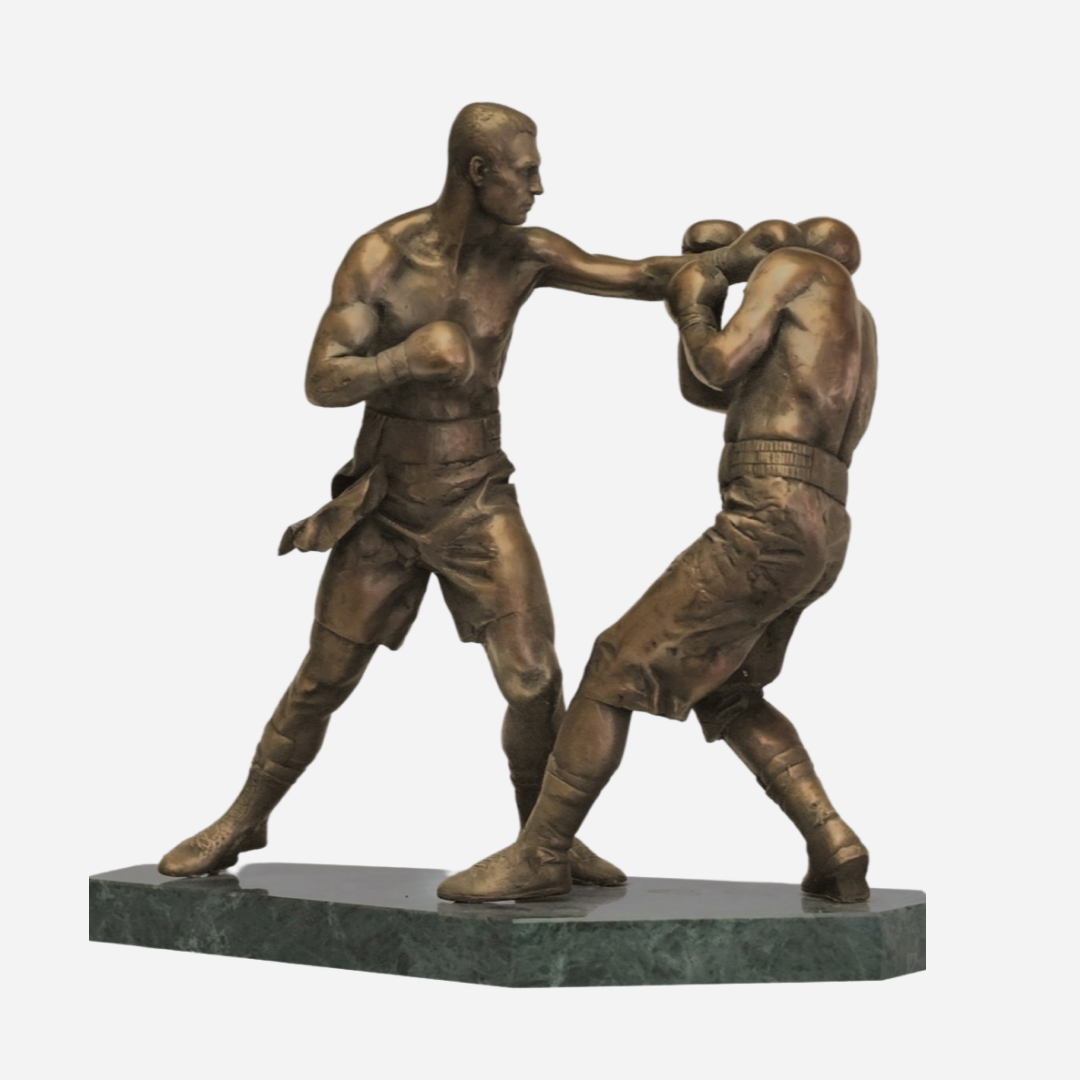 Vitalii Klitschko's fight with Danny Williams