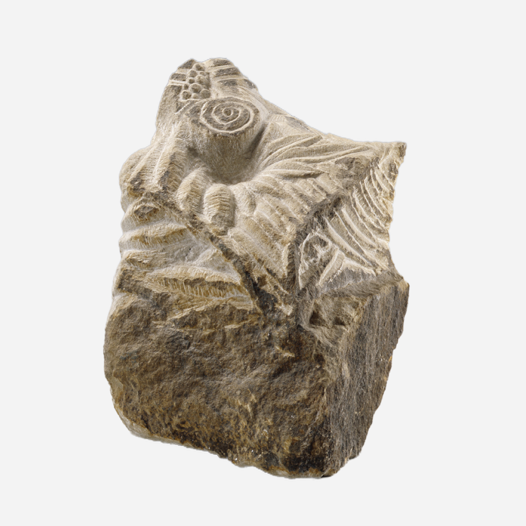 Квітка папороті