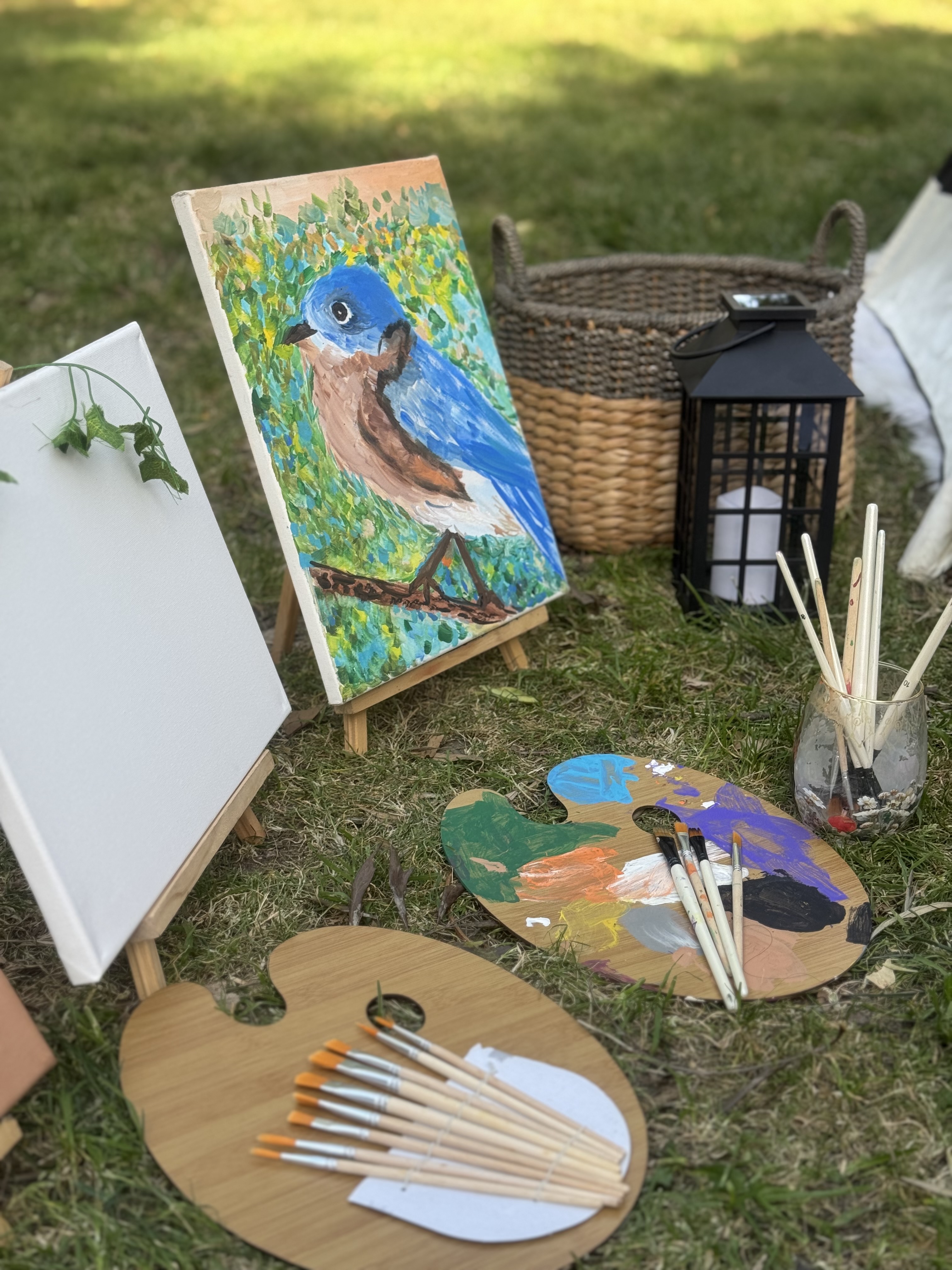 Experiencia Tipi en Baja California