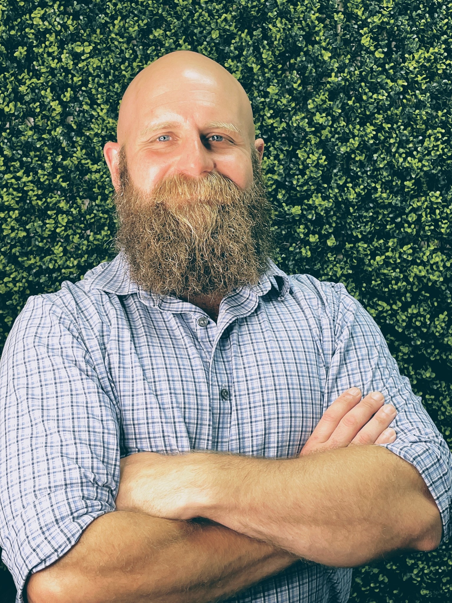 David Chisholm - Software Development