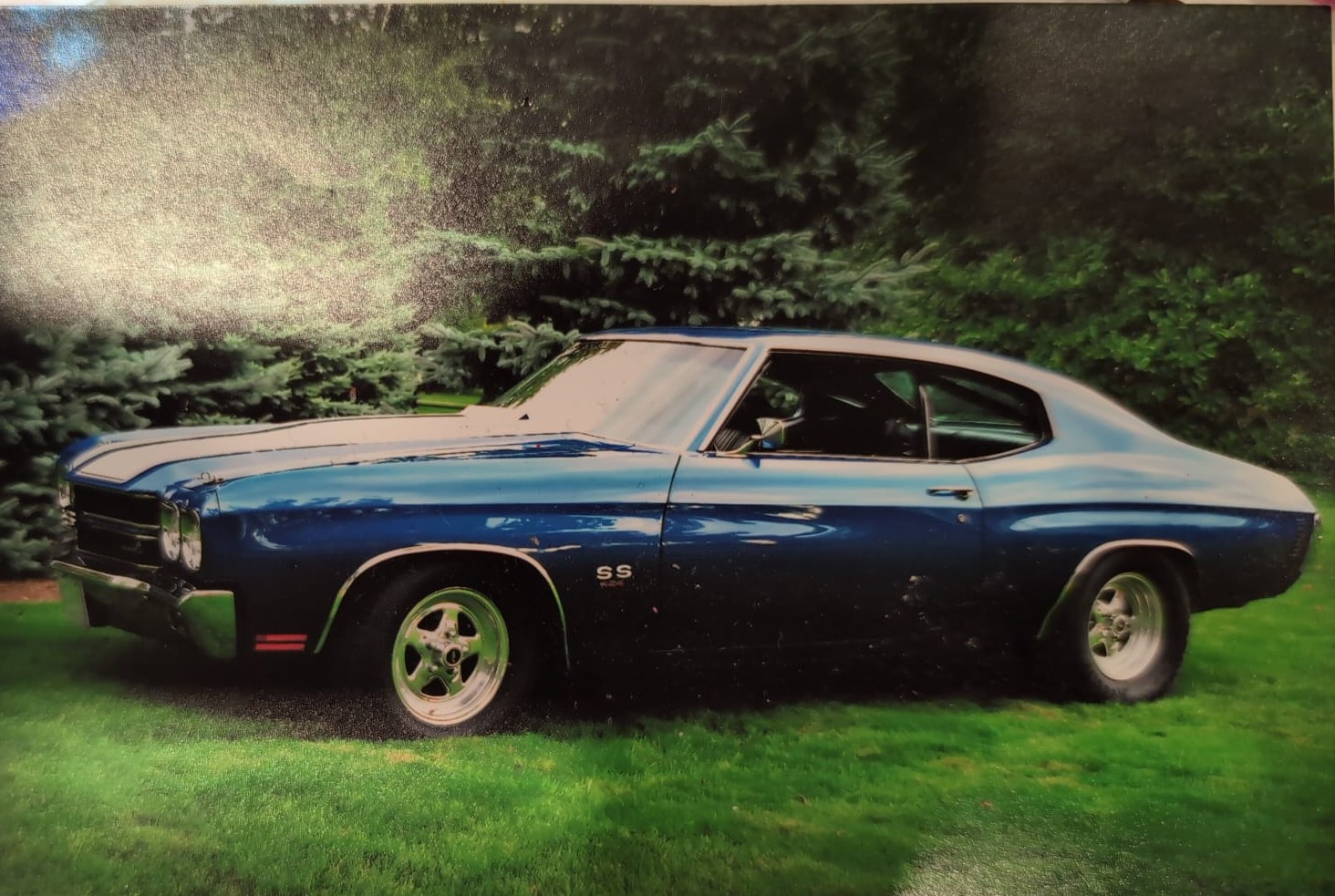 PORTRAIT (CAR,FACE,PET)