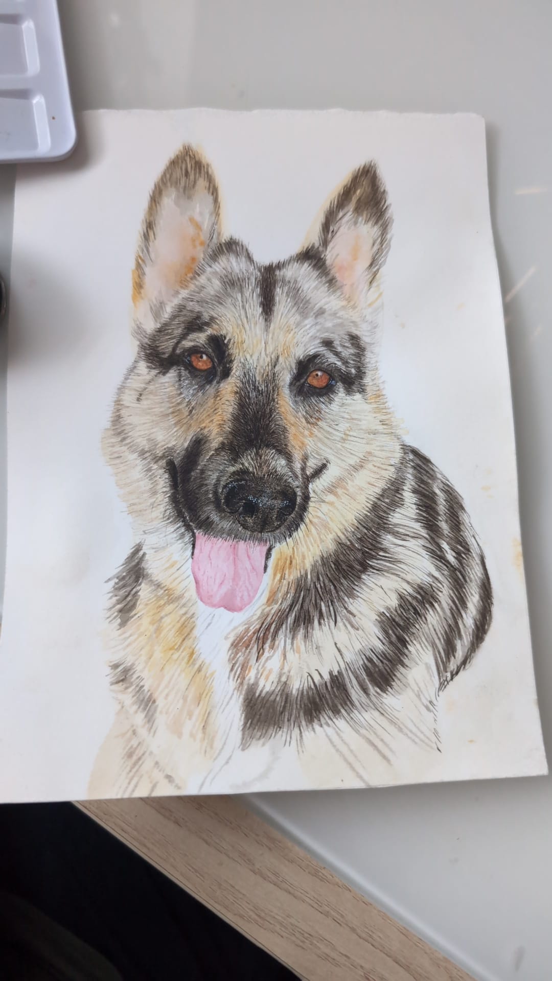 PORTRAIT (CAR,FACE,PET)