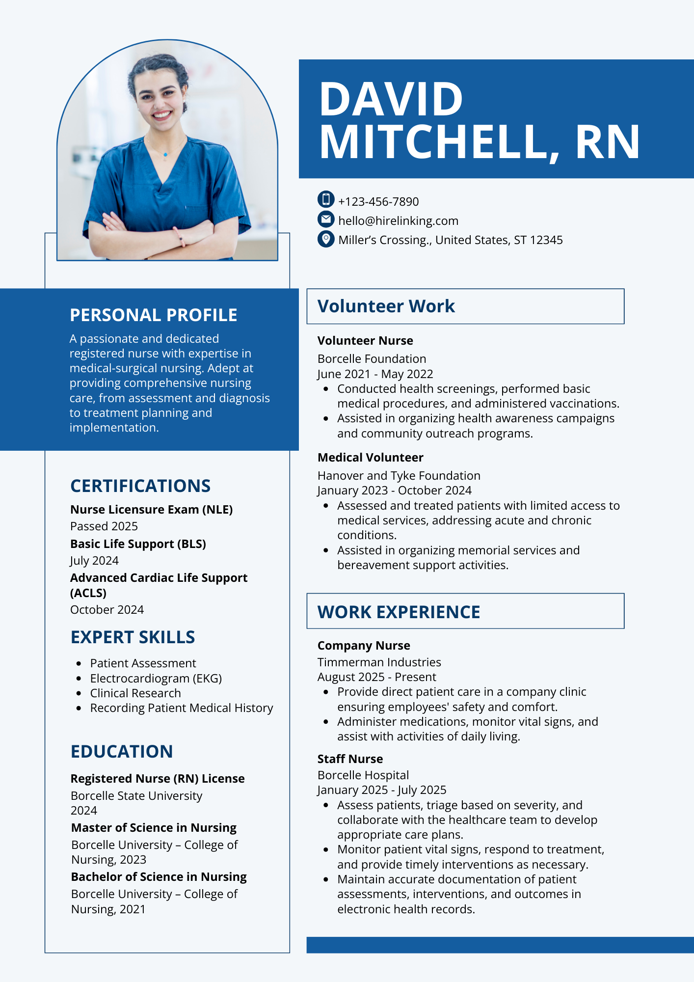 Professional Nurse Resume Template