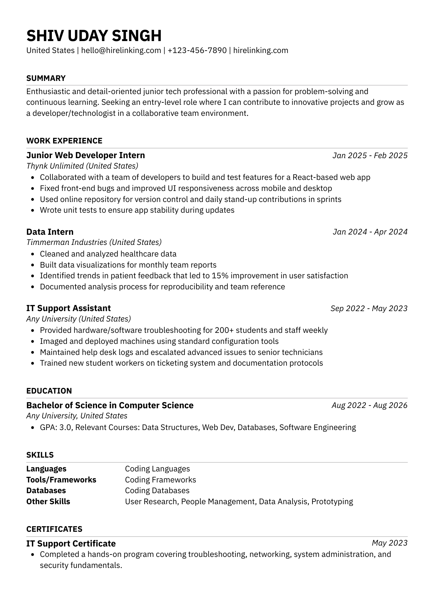 Professional Resume Template