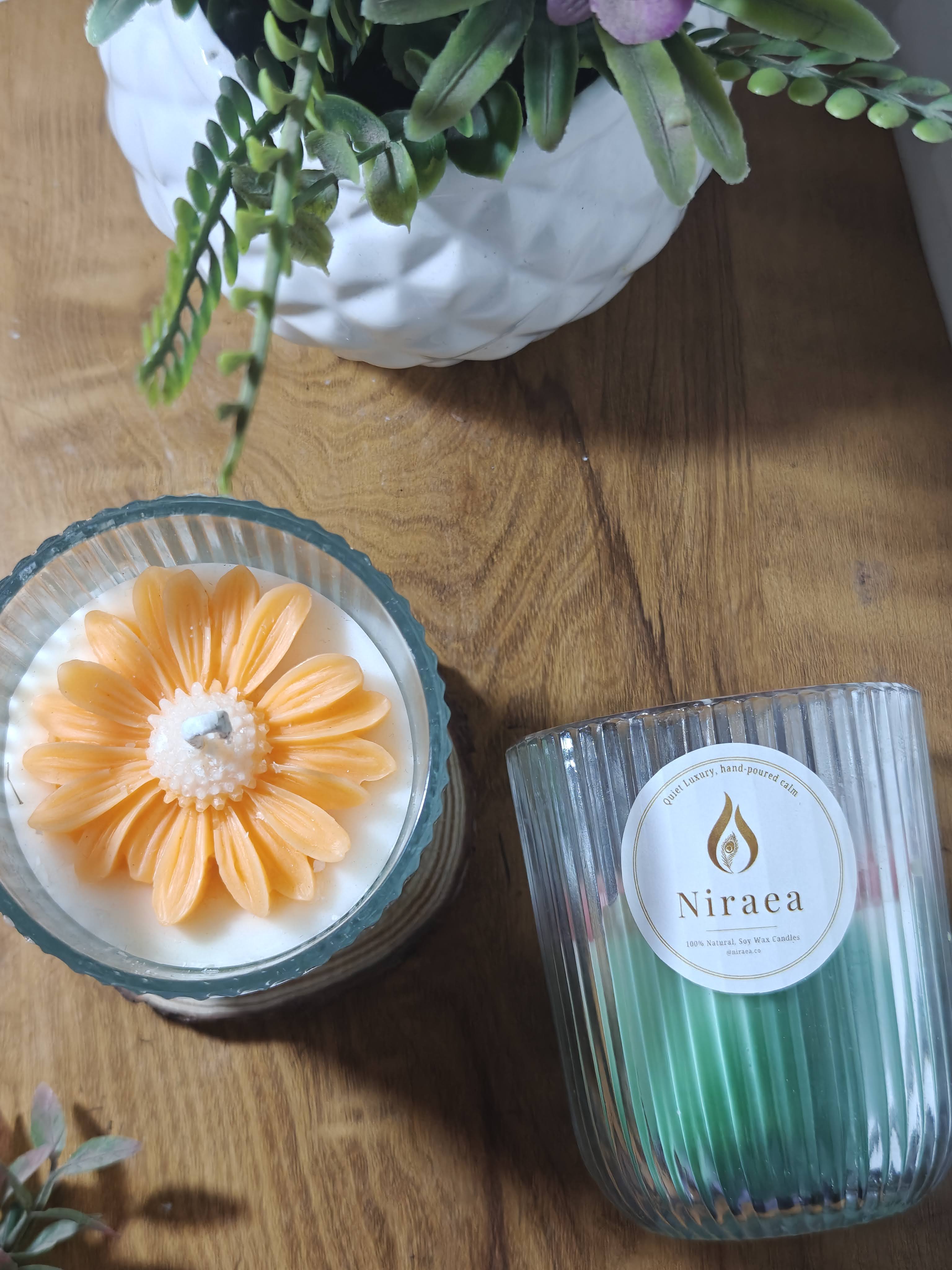 Daisy Crinkled Luxury  ( Qty - 1 Jar)