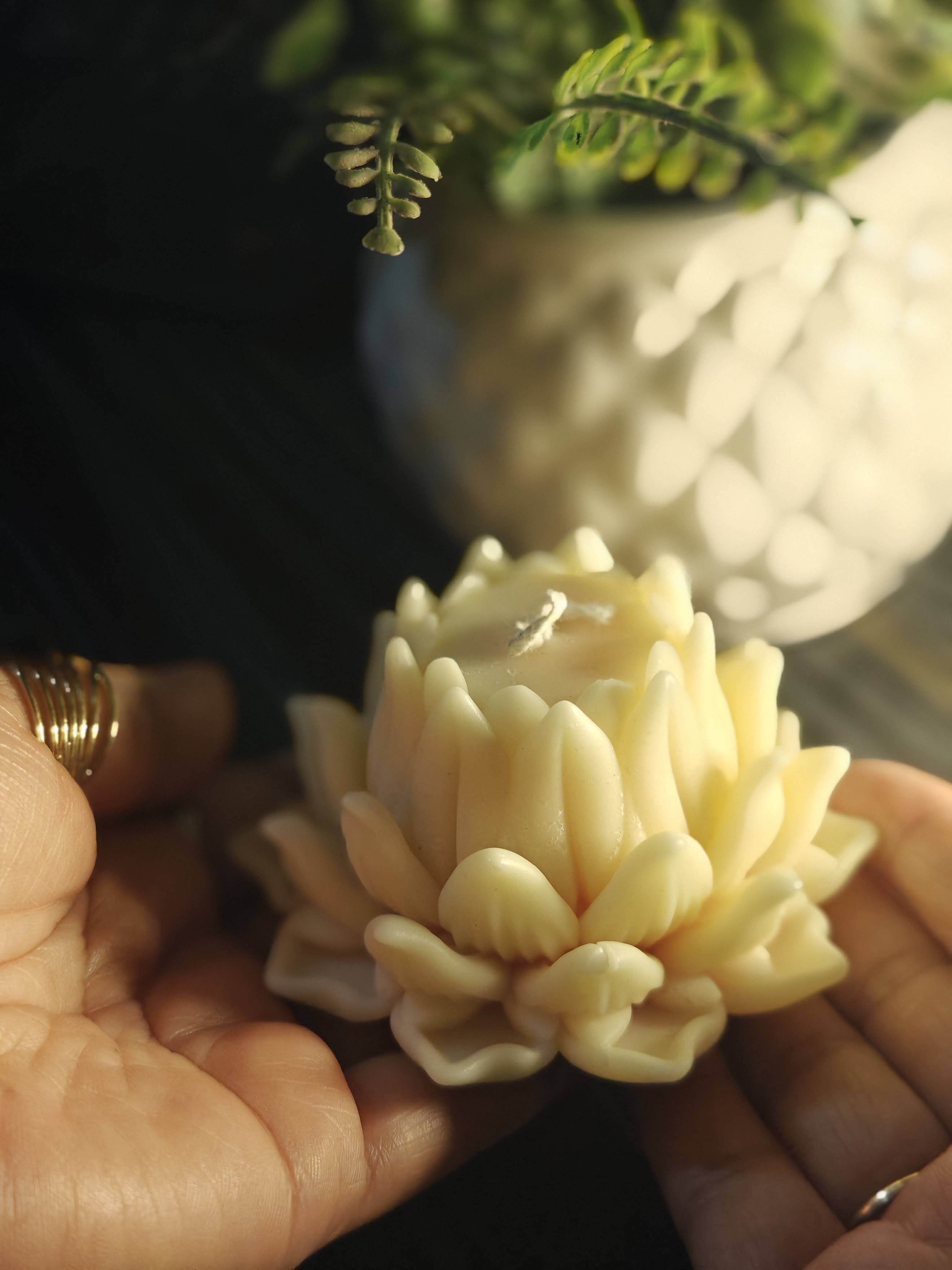 Lotus Love Blossom Scented Candle