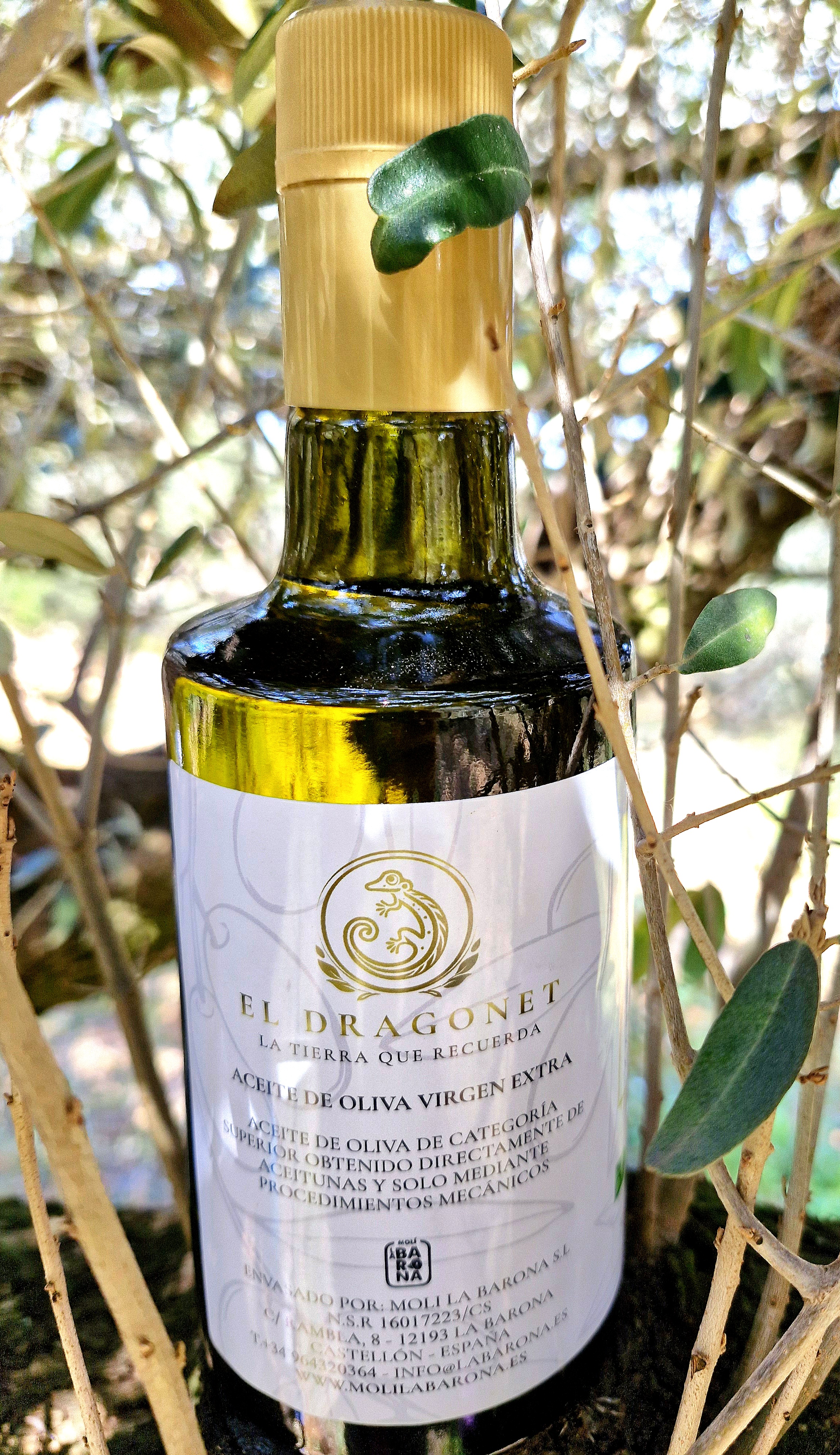 2025 Limited Release