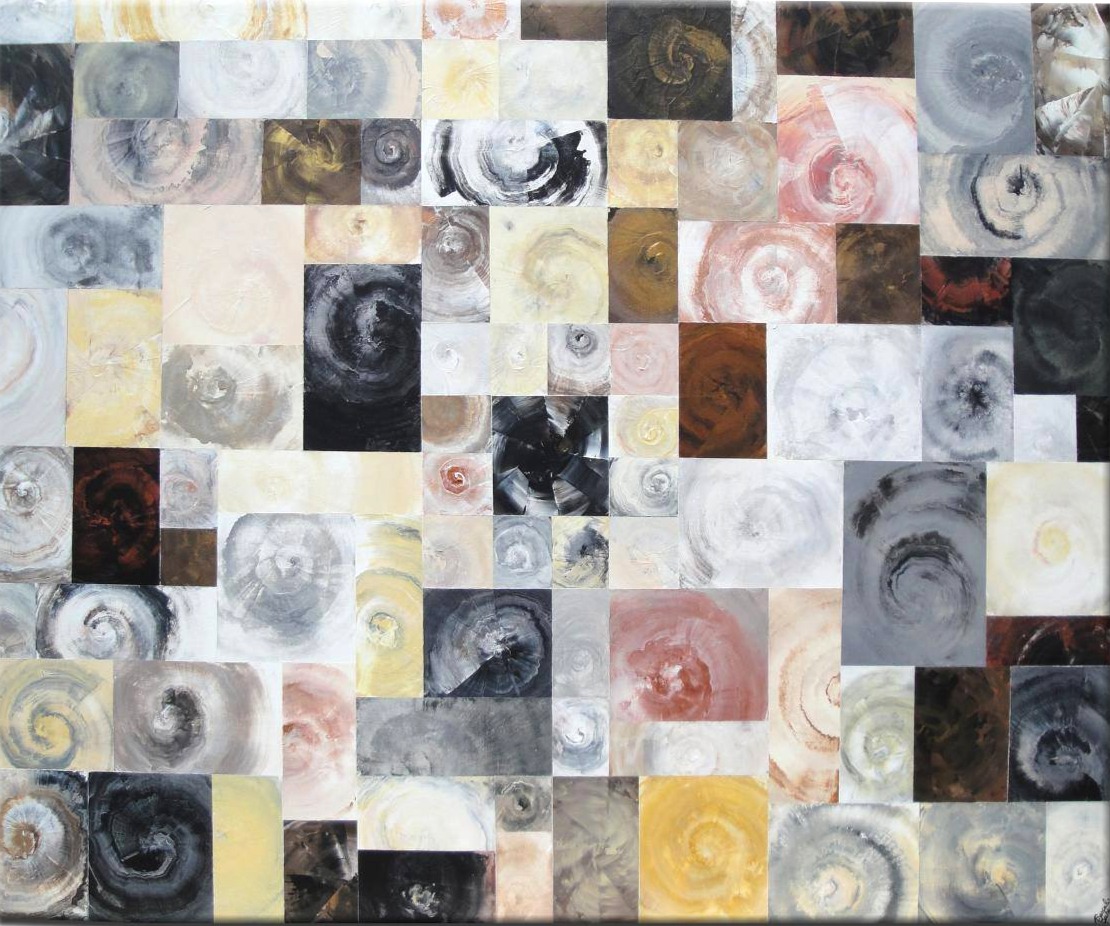 La dalle aux amonites