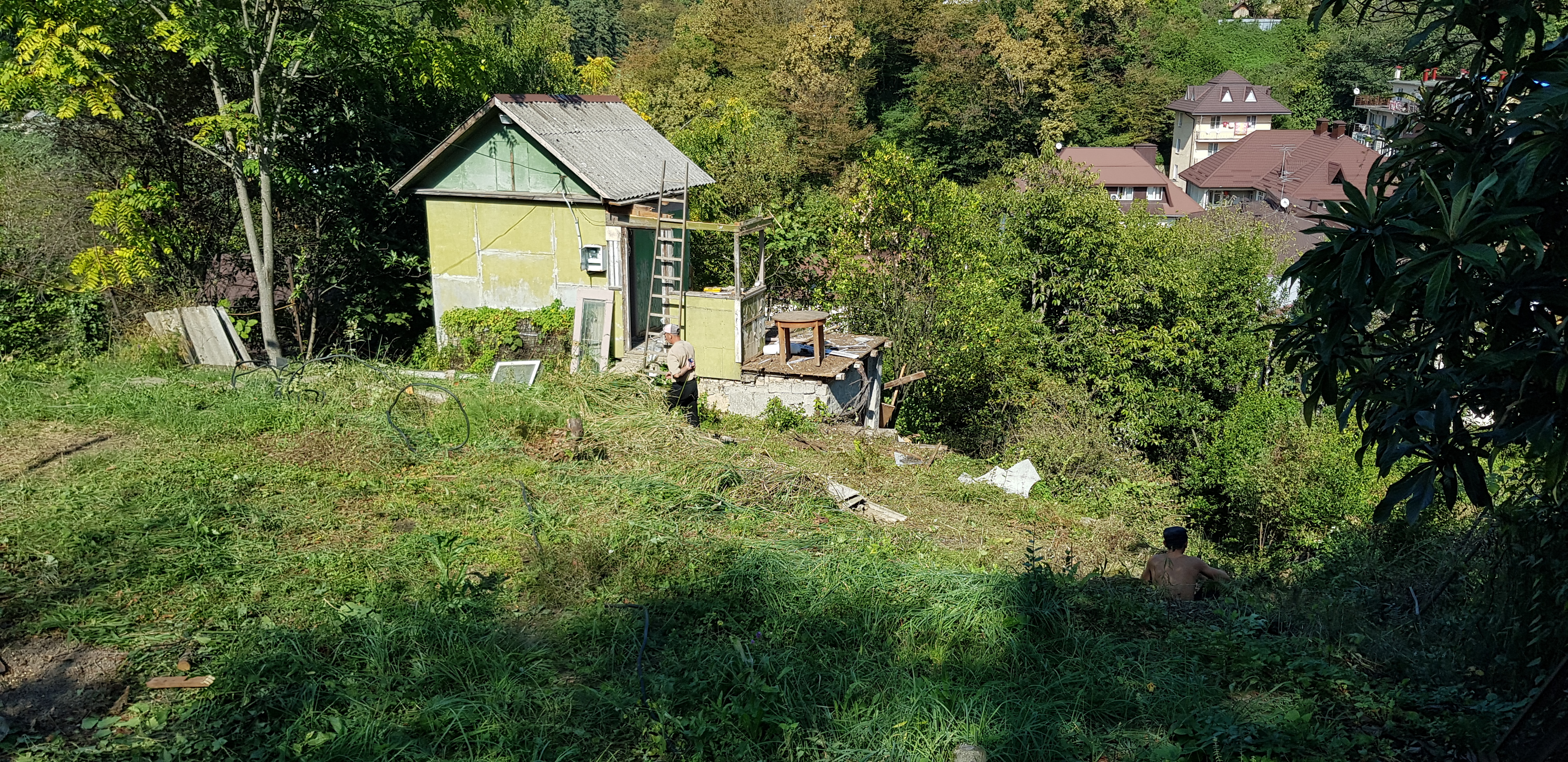 Terrain-Driven Architectural Concept