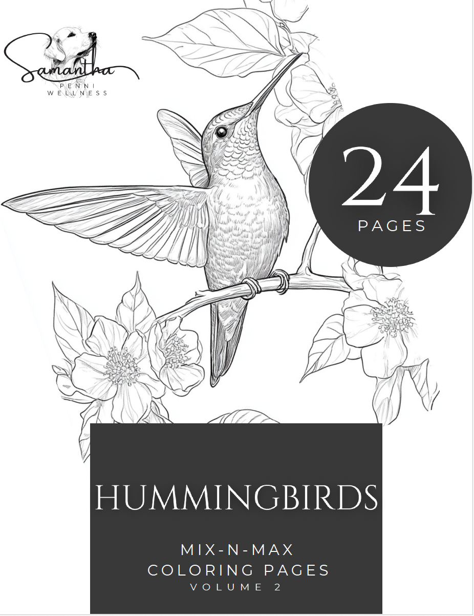 Hummingbirds Coloring Pages