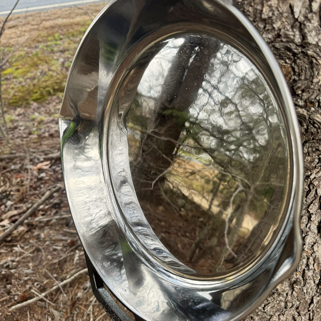 Lodge 10.25" & 12" Dual Handle Polished Cast Iron Skillet