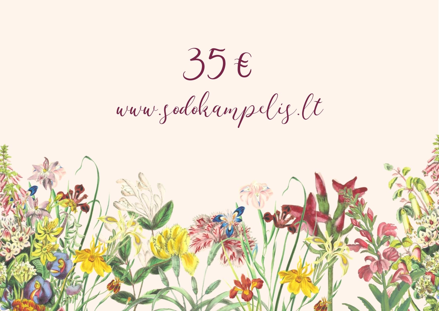 Dovanų kuponas 35€