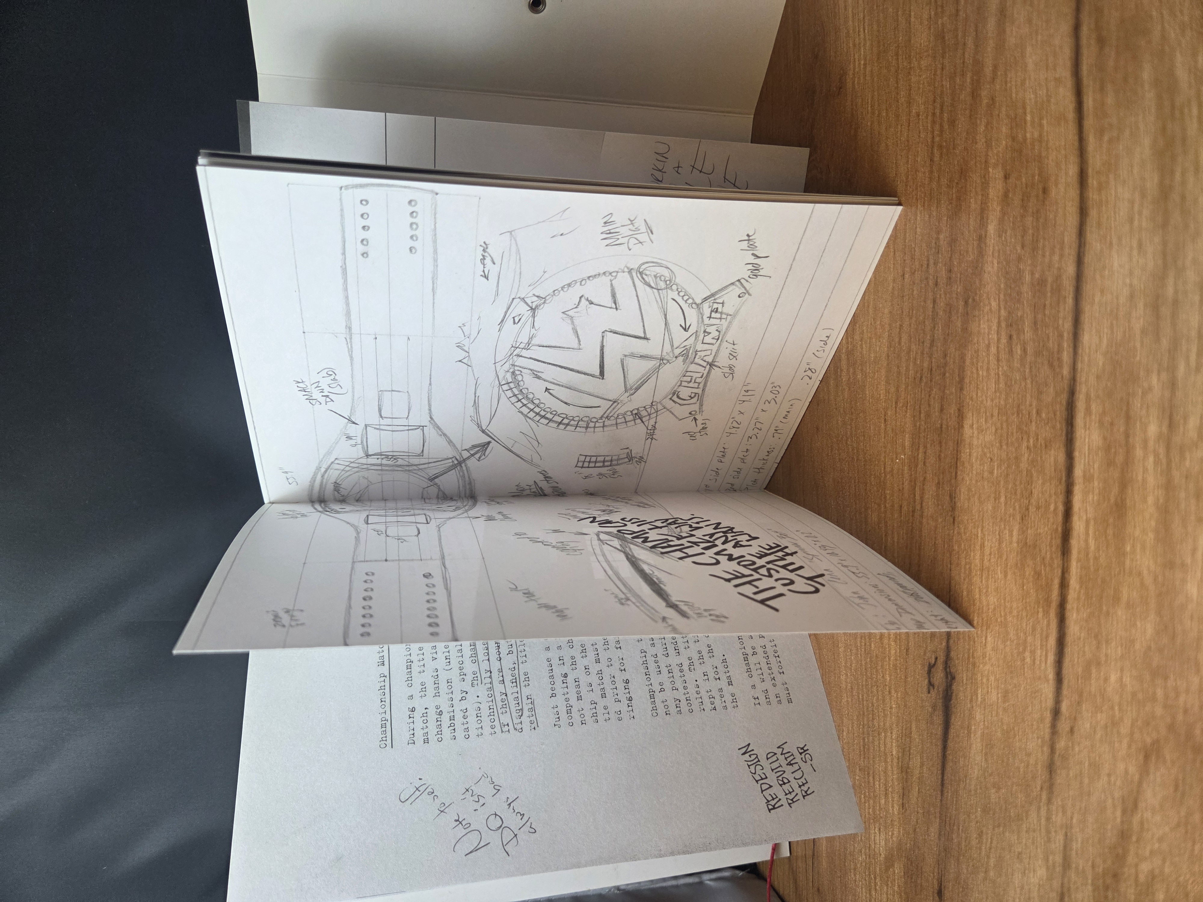 WWE Book Of Rules (And How To Break Them) With Foreword By Daniel Bryan