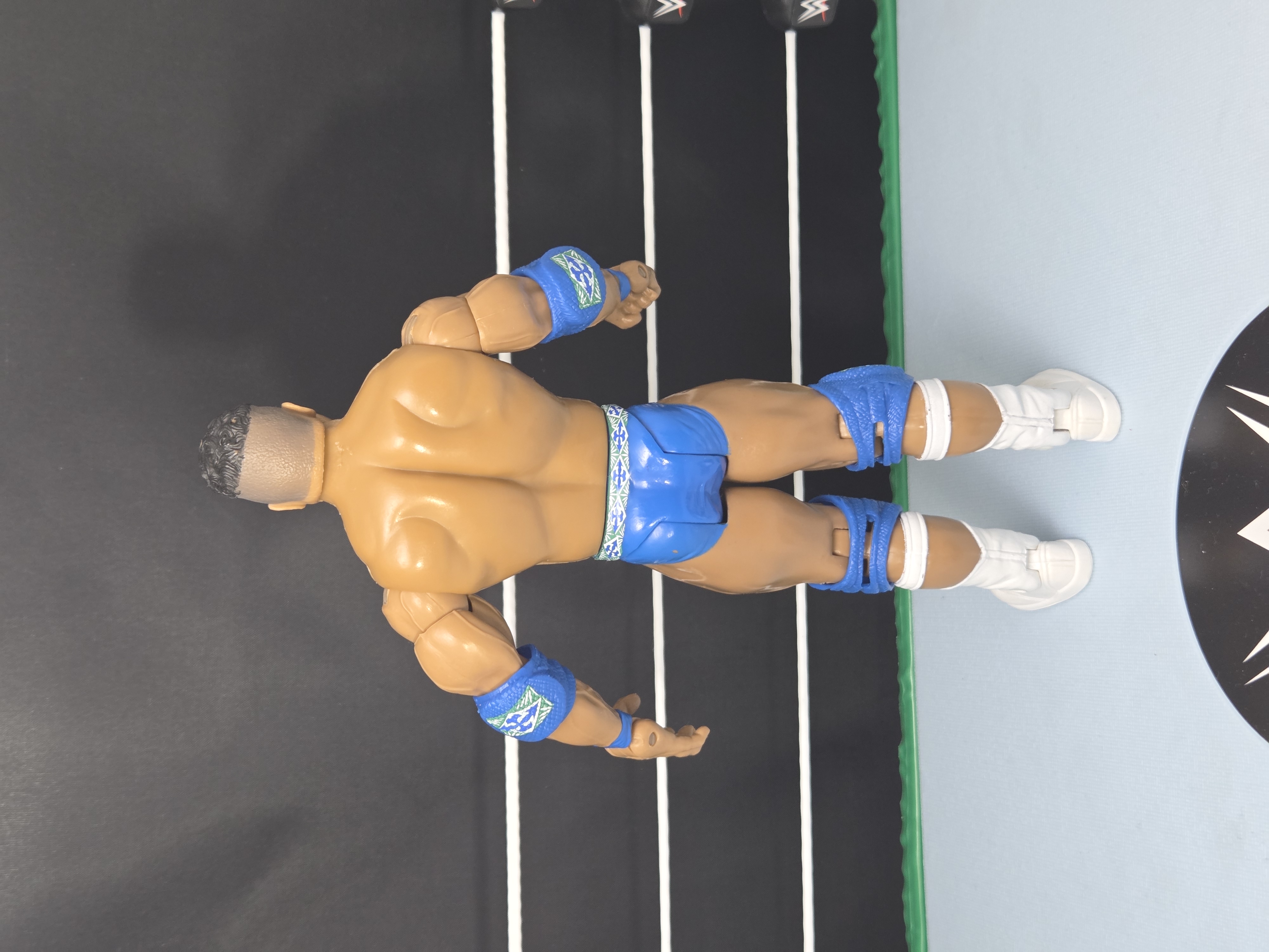 2006 WWE Jakks Pacific Classic Superstars Series 10 Rocky Maivia Vintage Wrestling Action Figure