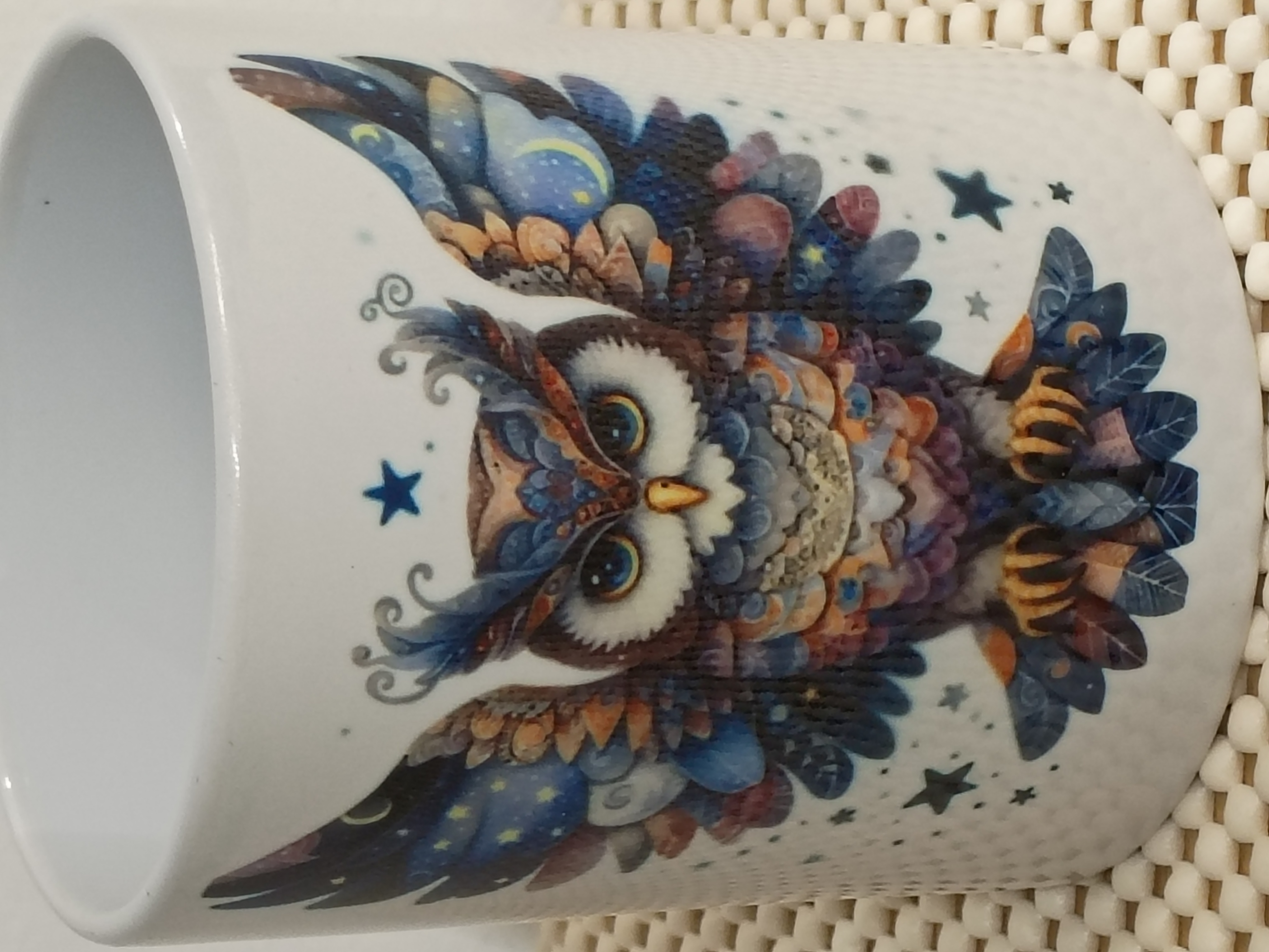 Owl Art Ceramic Mug