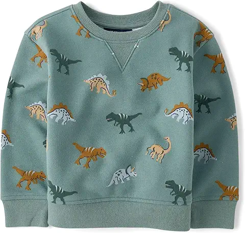 Kids Dinosaur Print Sweatshirt