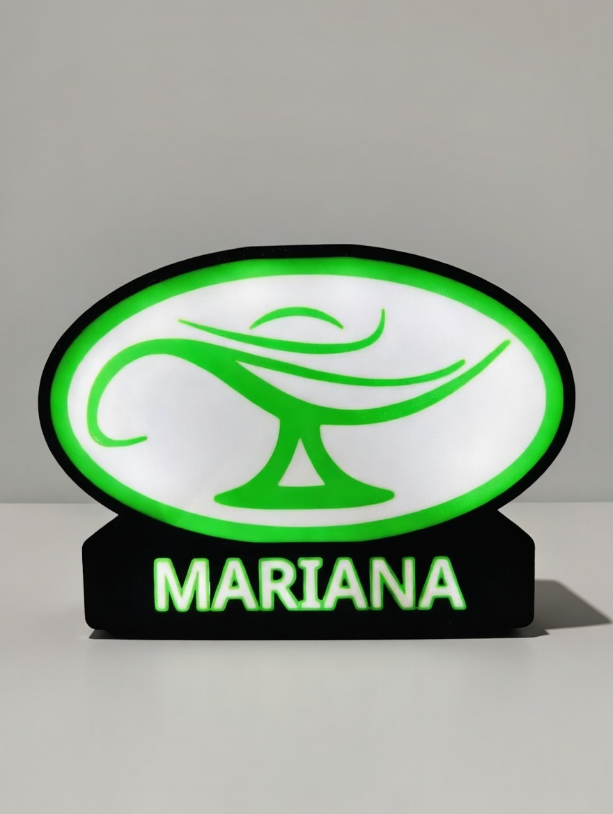 Luminária Enfermagem - Nome Personalizado