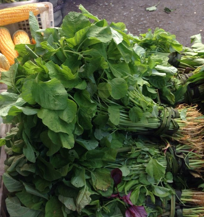 Bayam / Iket