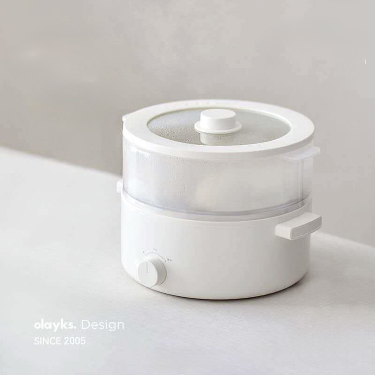 OLAYKS 5L Multifunction Electric Cooking Pot