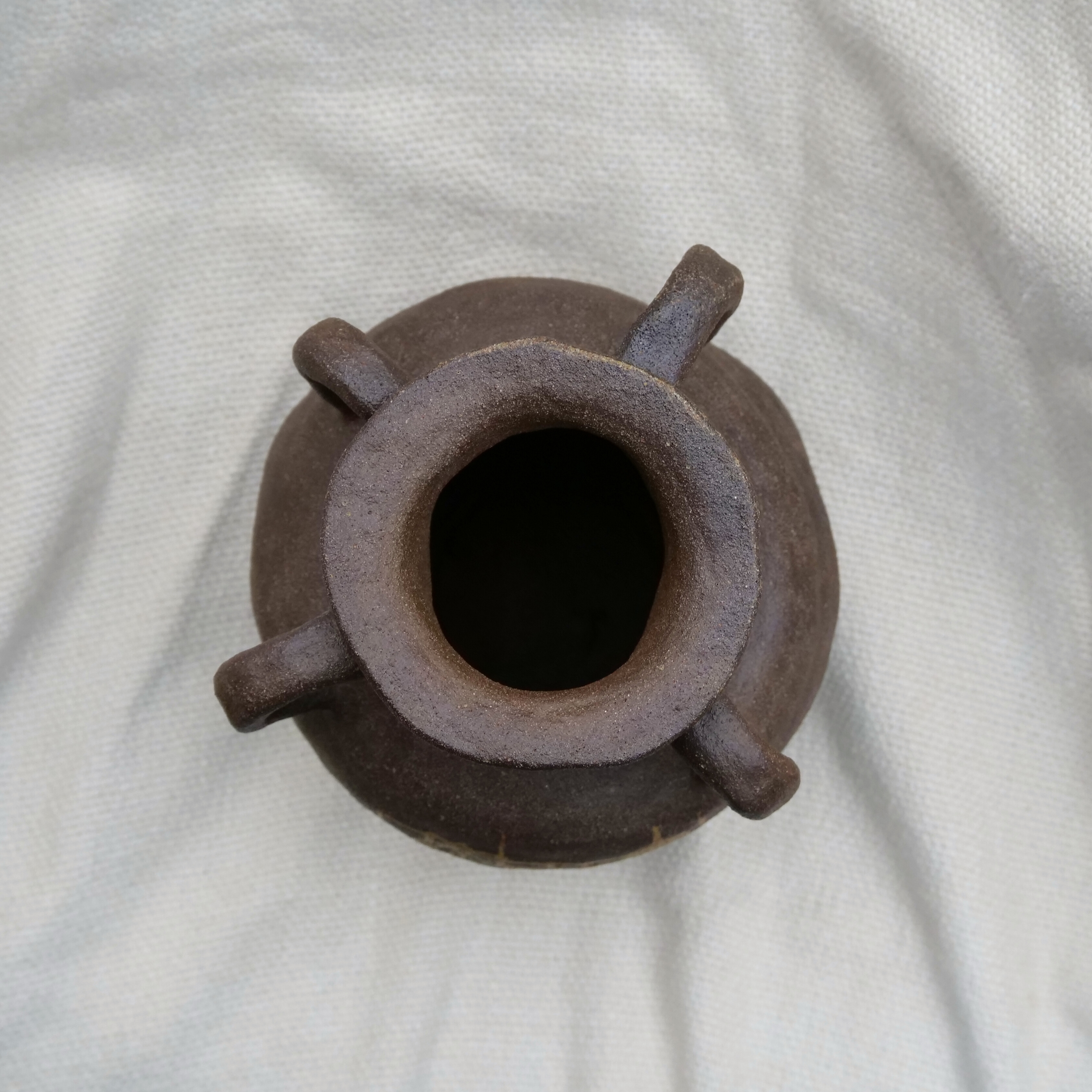 Wild Clay Decorative Vase