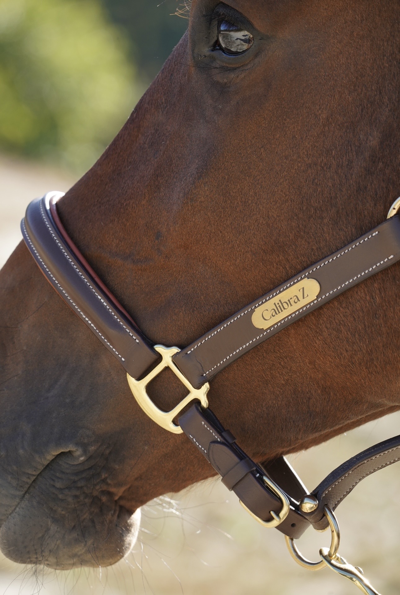 Lederen halster - Anatomisch, met naamplaatje