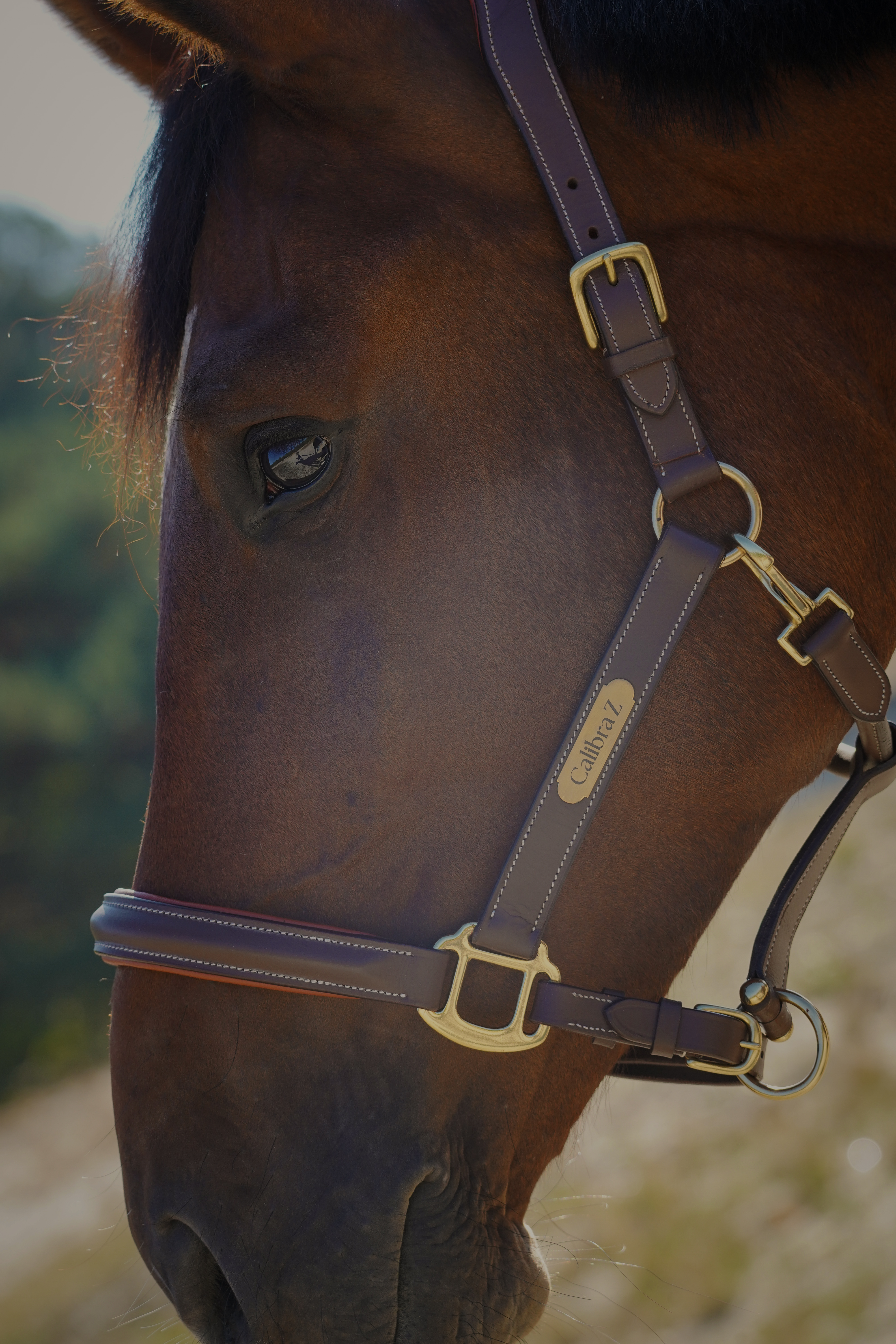 Lederen halster - Anatomisch, met naamplaatje