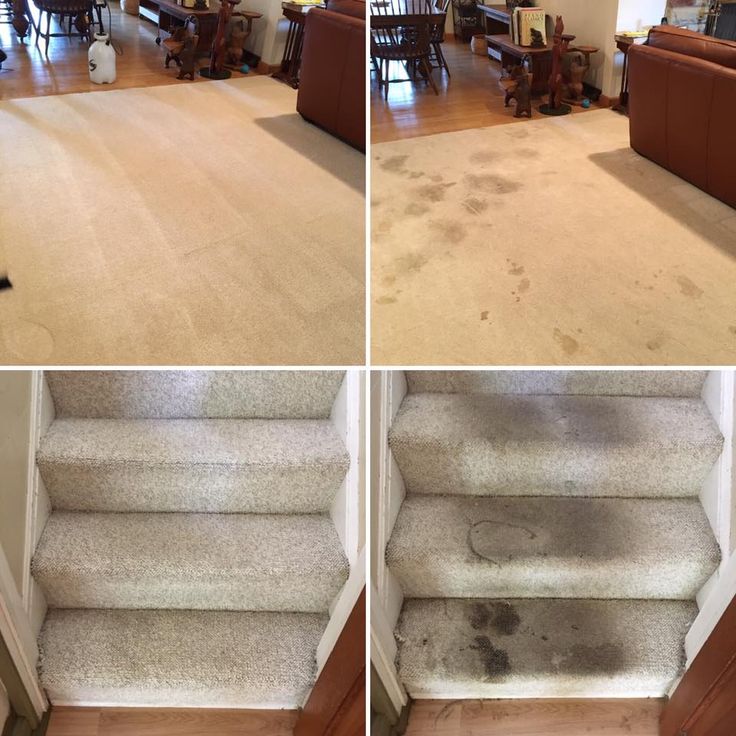 Nettoyage moquette escalier 