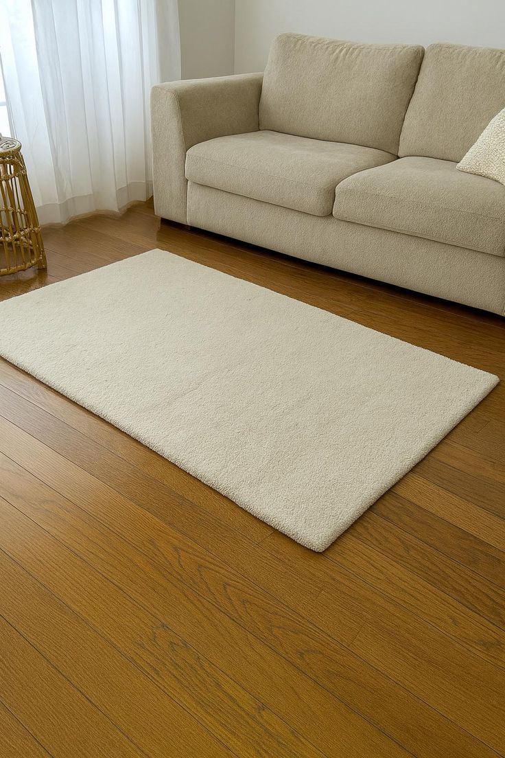 Options nettoyage petit tapis