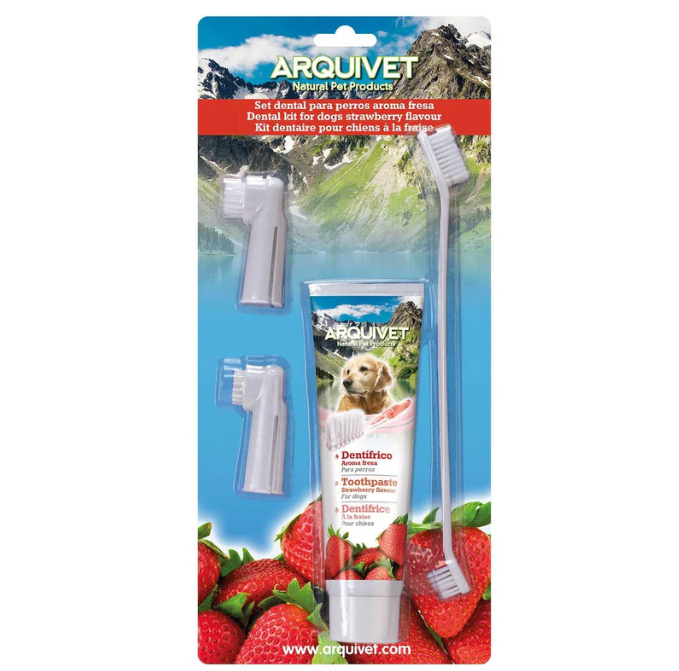 Dental Kit - Strawberry