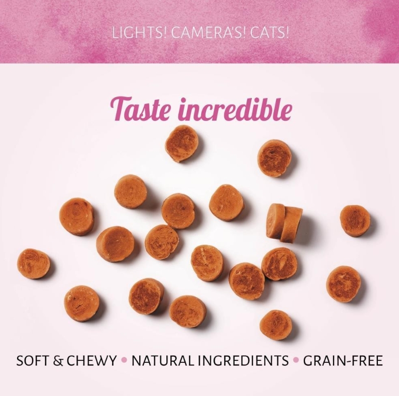 Cat Treats Steamed Shrimp 50g