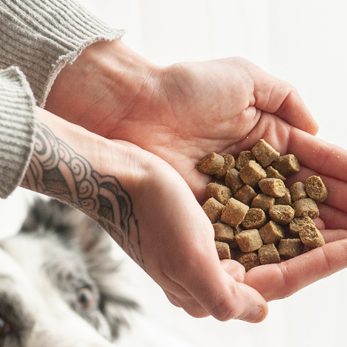 Arquivet Fresh Semi-moist Ocean FIsh 2.5KG