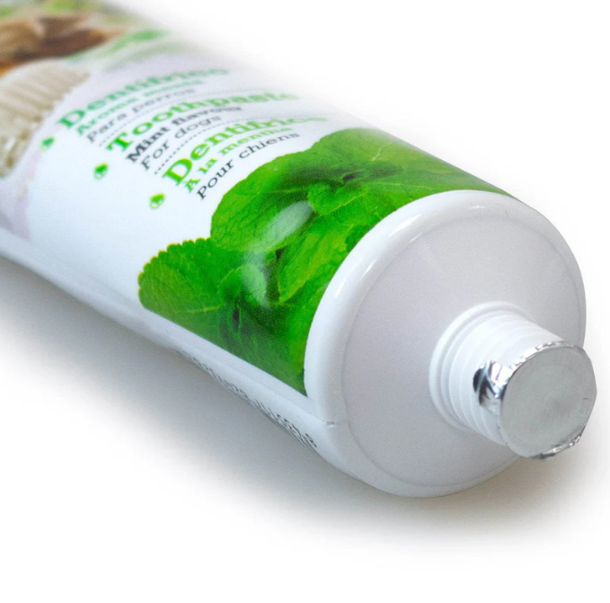 Mint Toothpaste 100g