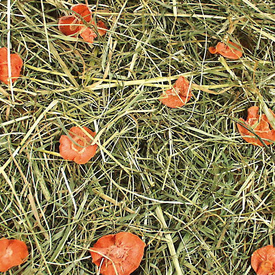 JR FARM Carrot Meadow 500g