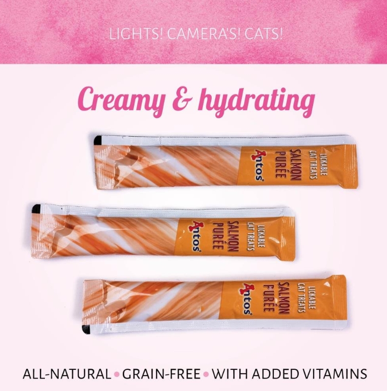 Cat Treats Purée Salmon 4 pcs