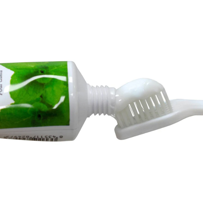 Mint Toothpaste 100g