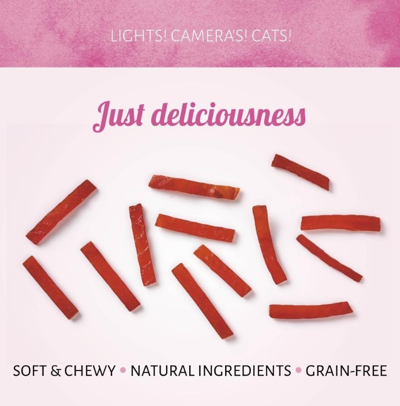 Cat Treats Grilled Duck 50g