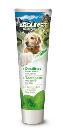 Mint Toothpaste 100g