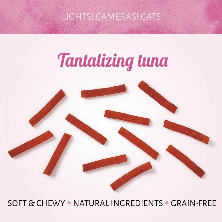Cat Treats Tempting Tuna 50g