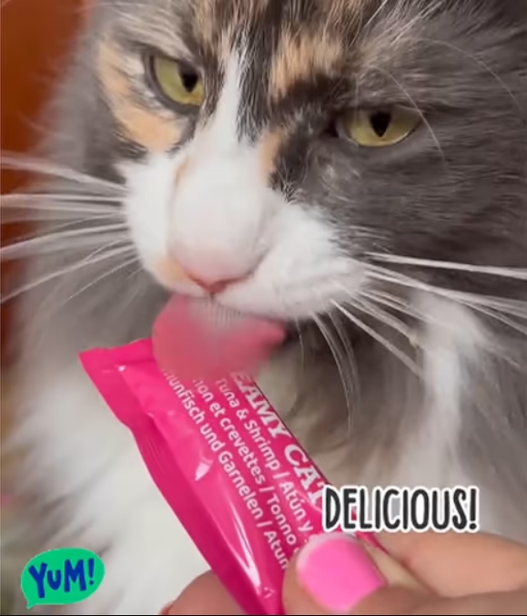 Creamy Cat Treat Chicken, 70g - 5pcs