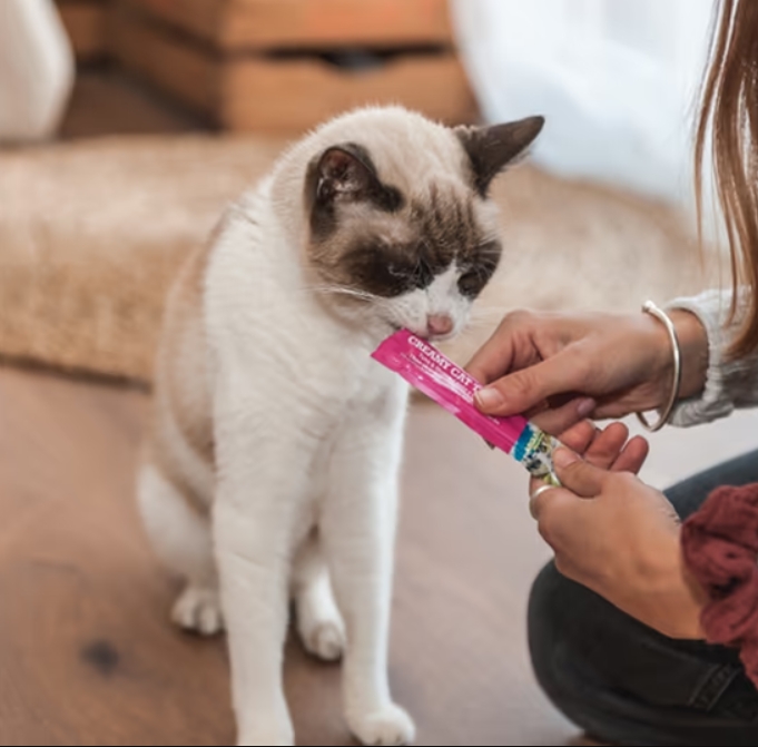 Creamy Cat Treat Chicken, 70g - 5pcs