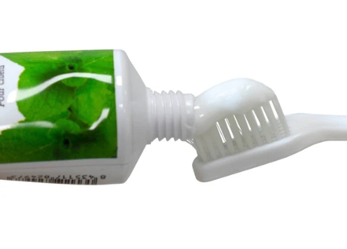 Mint Toothpaste Dogs, 100g