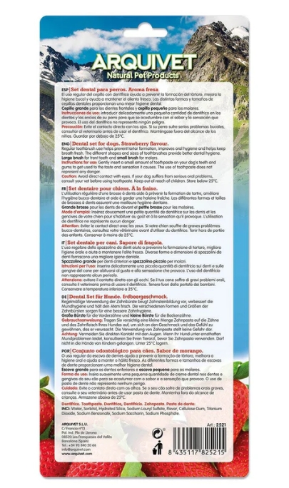 Dental Kit - Strawberry